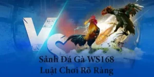 Cách Chơi Đá Gà WS168 Tại B52 Club Chi Tiết Và Hiệu Quả Nhất