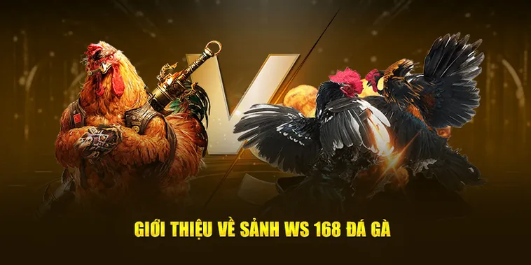 Cách Chơi Đá Gà WS168 Tại B52 Club Chi Tiết Và Hiệu Quả Nhất